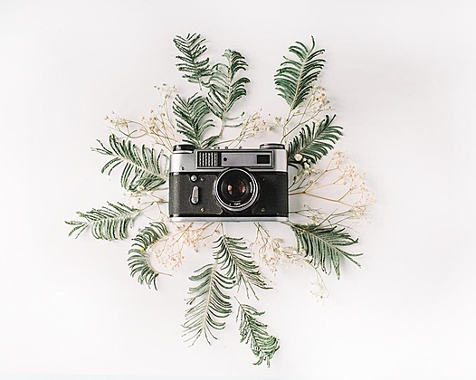 文章中插入卡片