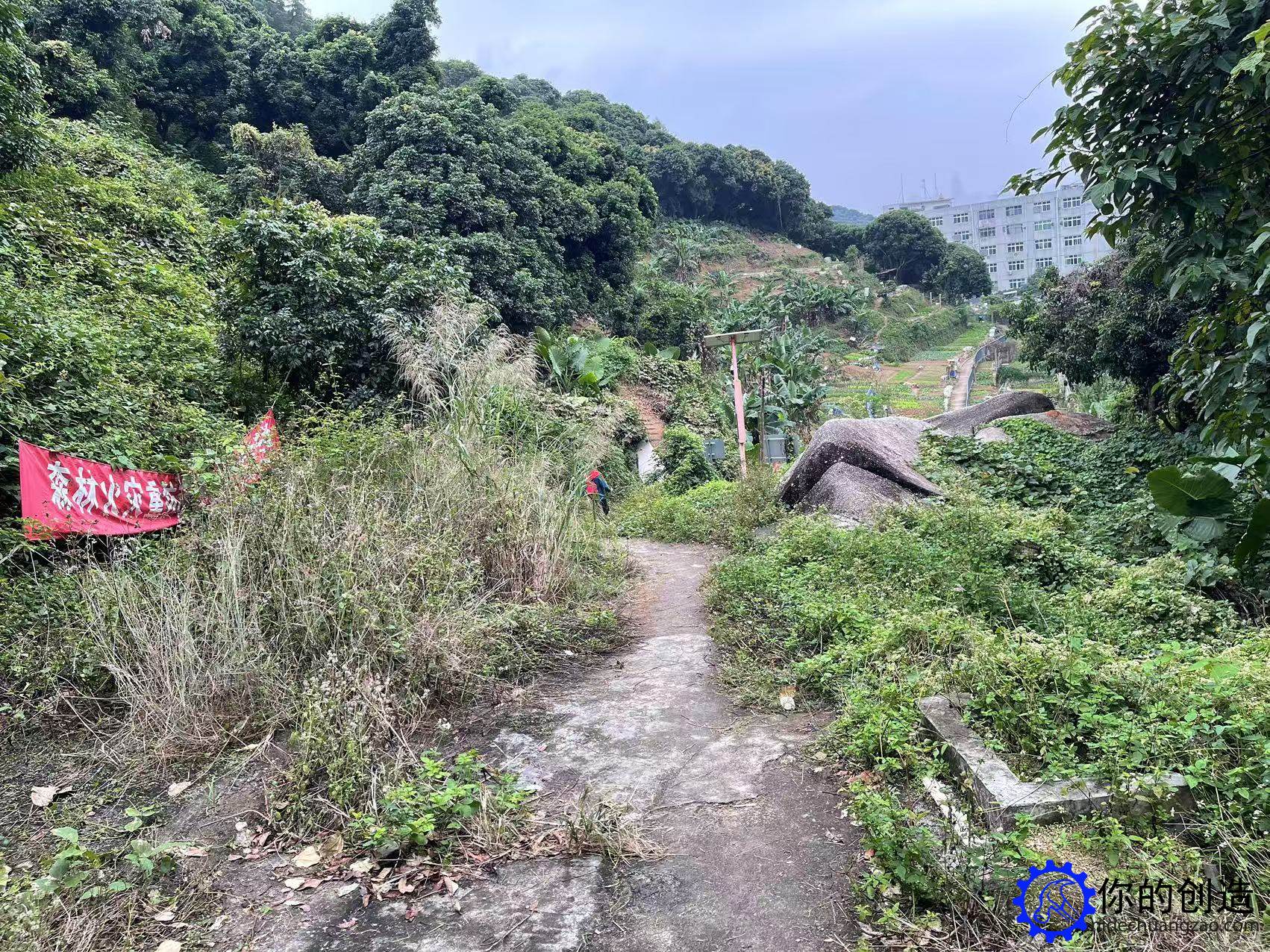 趣味郊野径:阳台山-西丽王京坑环线(鲲鹏径四段)