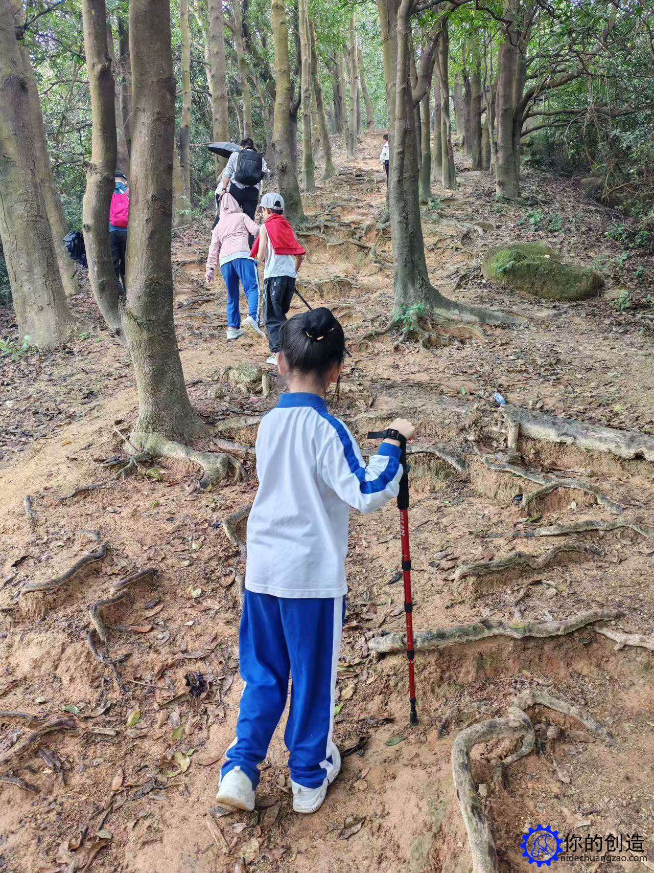 趣味郊野径:阳台山-西丽王京坑环线(鲲鹏径四段)