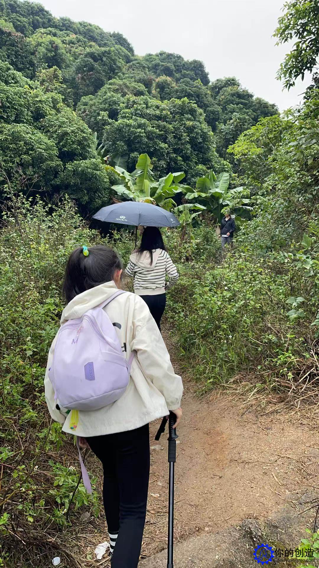 趣味郊野径:阳台山-西丽王京坑环线(鲲鹏径四段)