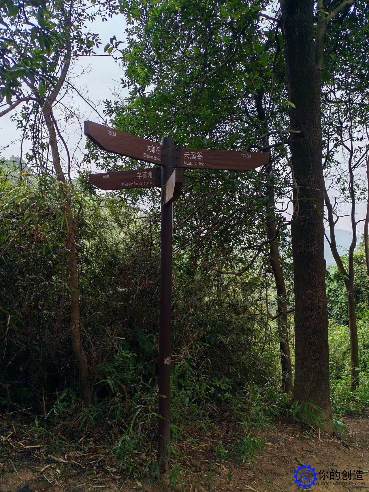 趣味郊野径:阳台山-西丽王京坑环线(鲲鹏径四段)