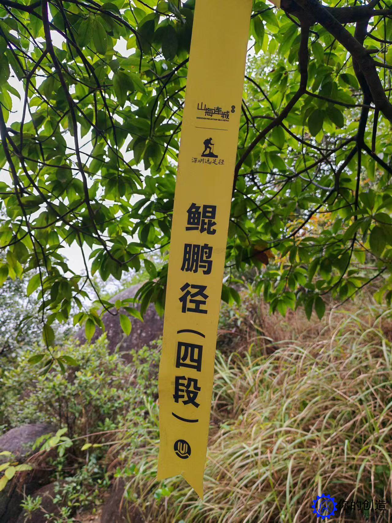 趣味郊野径:阳台山-西丽王京坑环线(鲲鹏径四段)